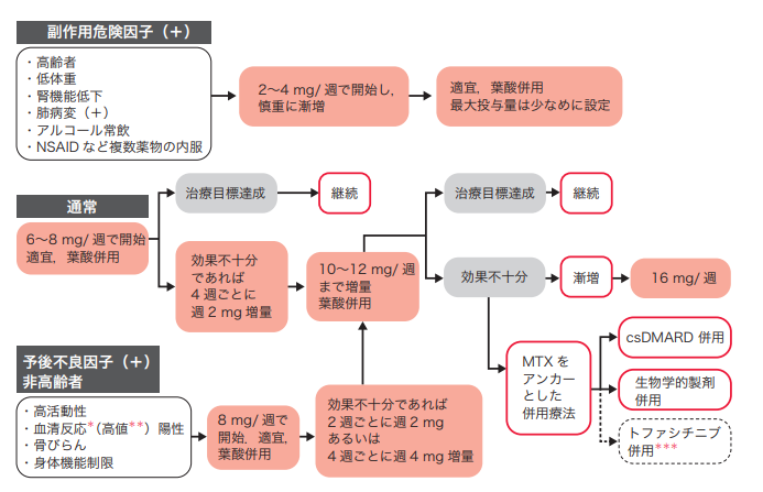 関節リウマチ】2023年版 メトトレキサート診療ガイドラインの変更点を中心に解説します