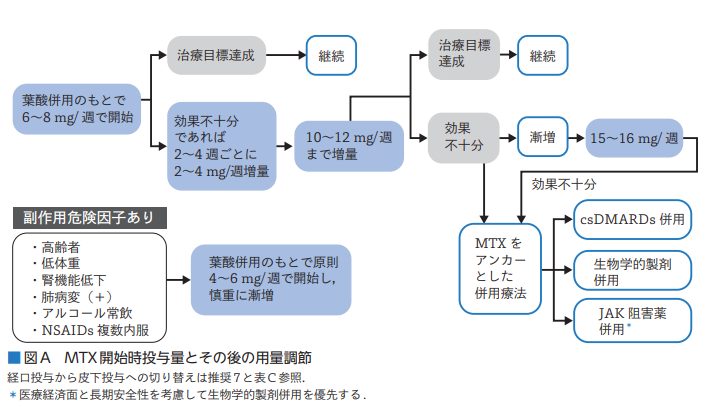 関節リウマチ】2023年版 メトトレキサート診療ガイドラインの変更点を